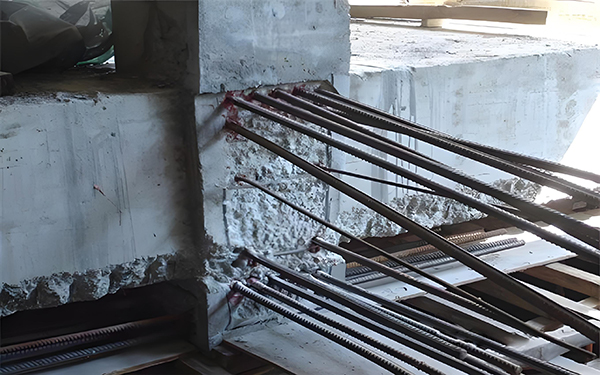 1730196785207534.jpg 1c23b77b-2621-417d-abad-b562549c0ffe.jpg