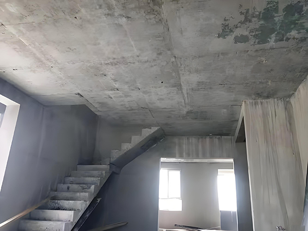 1731057081643535.jpg 153e0e13-2d46-4be0-8d23-d438bf31a1a.jpg